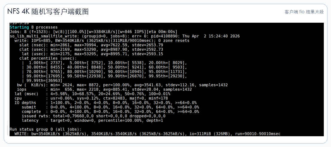 nfs-client-rand-write-sanitized