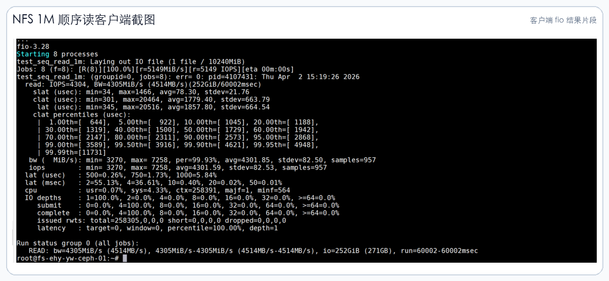 nfs-client-seq-read-sanitized